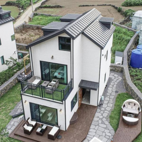 Rabbitfoot Jeju